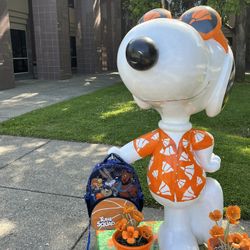 Tune Squad Back Pack