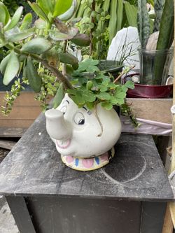 Beauty And The Beast Plant Vase