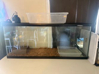 75 gallon tank and 4ft