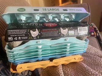 Free. Egg cartons.