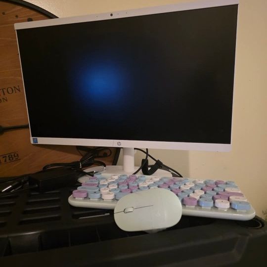 Hp All In One 24"
