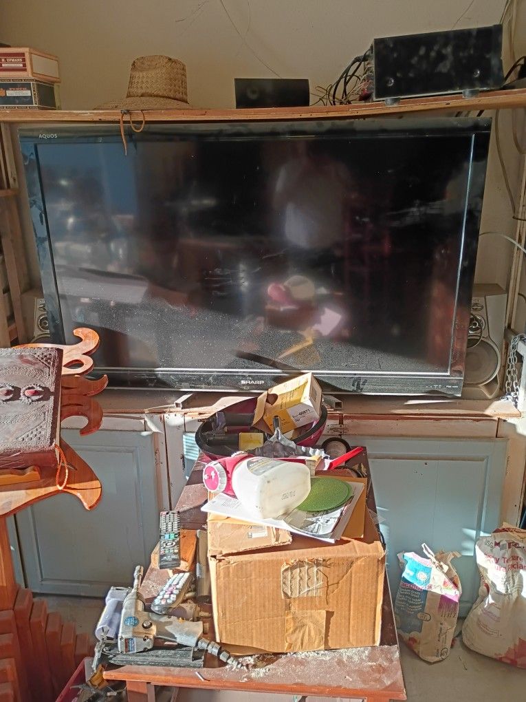 65 In Sharp Flat Screen TV