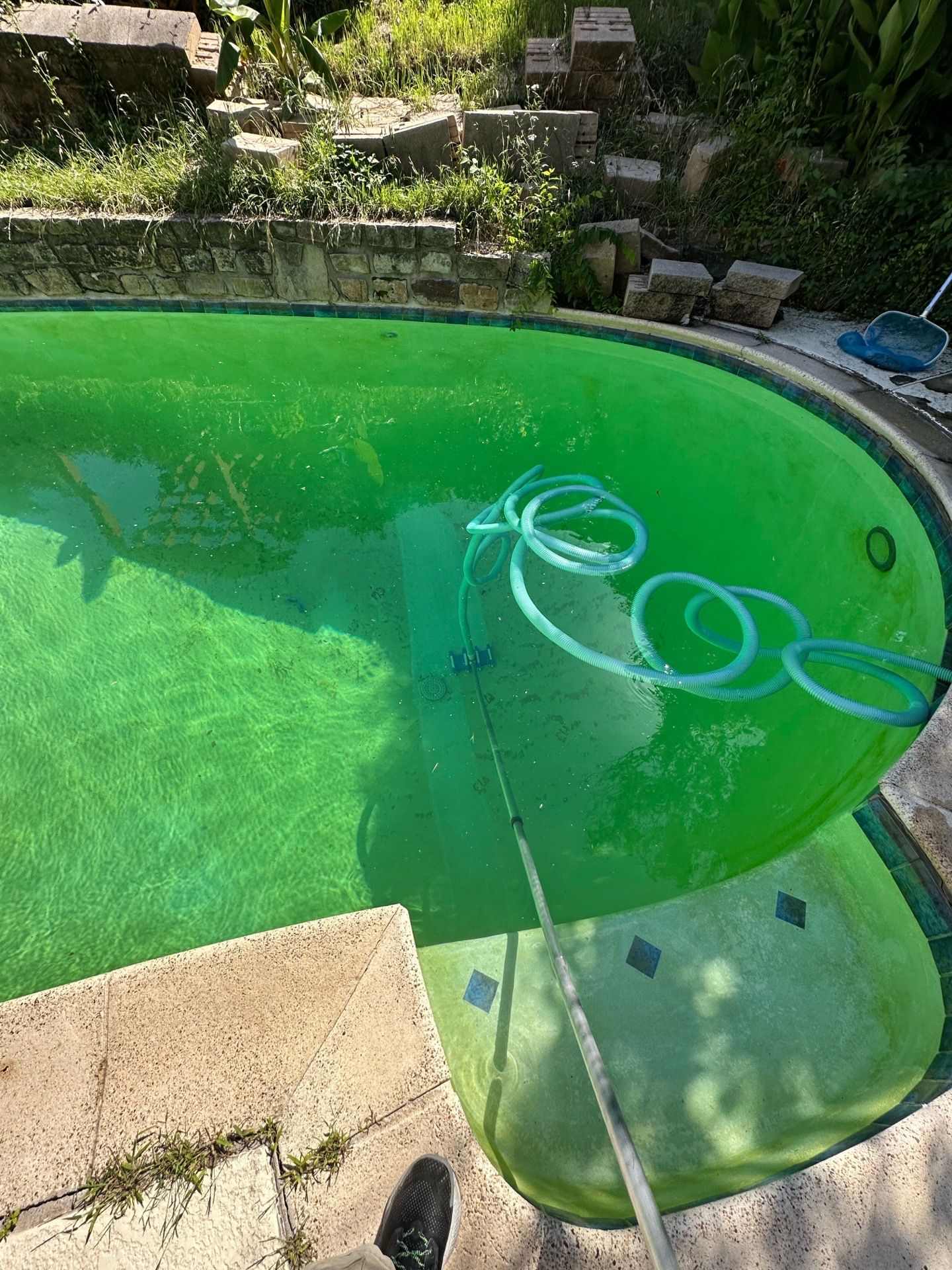 Pool green free estimate