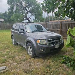 2010 Ford Escape