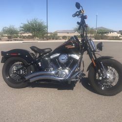 2008 Harley Davidson Flstsb