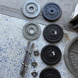 Lifting Weights And Equipment 