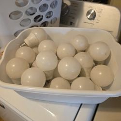 20 Light Bulbs  All 100 Watt.