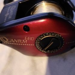 Quantum vintage batcaster