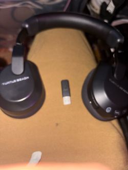 turtle beach