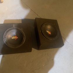 Speaker