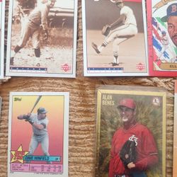 Baseball Cards