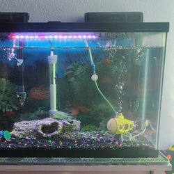 Fish Tank 