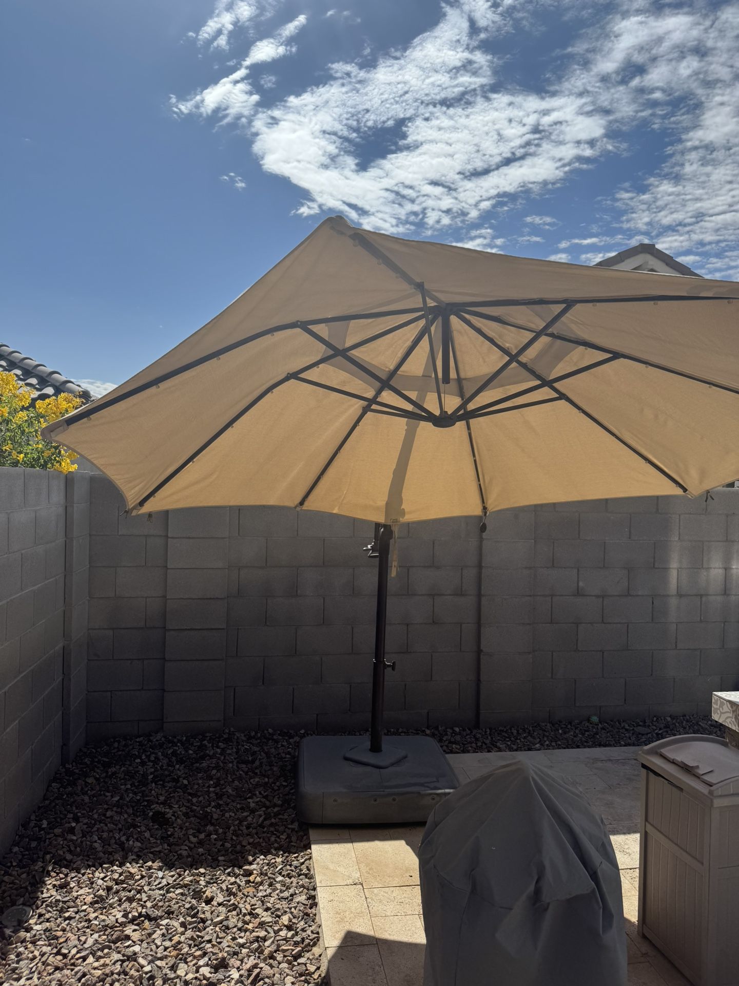 Umbrella