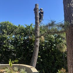 Do You Need Removal Remove?