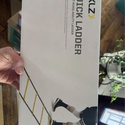 Quick Ladder