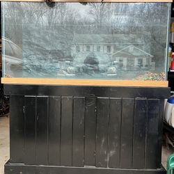 90 Gallon Fish Tank