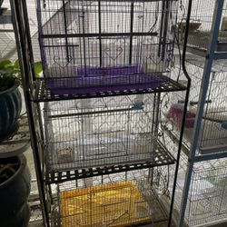 3 Bird Cages 