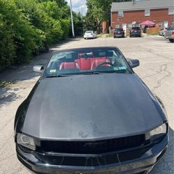 2005 Ford Mustang Convertible Need Gone Today 