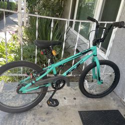 GT Berm BMX Bike for Sale in Santa Ana CA OfferUp