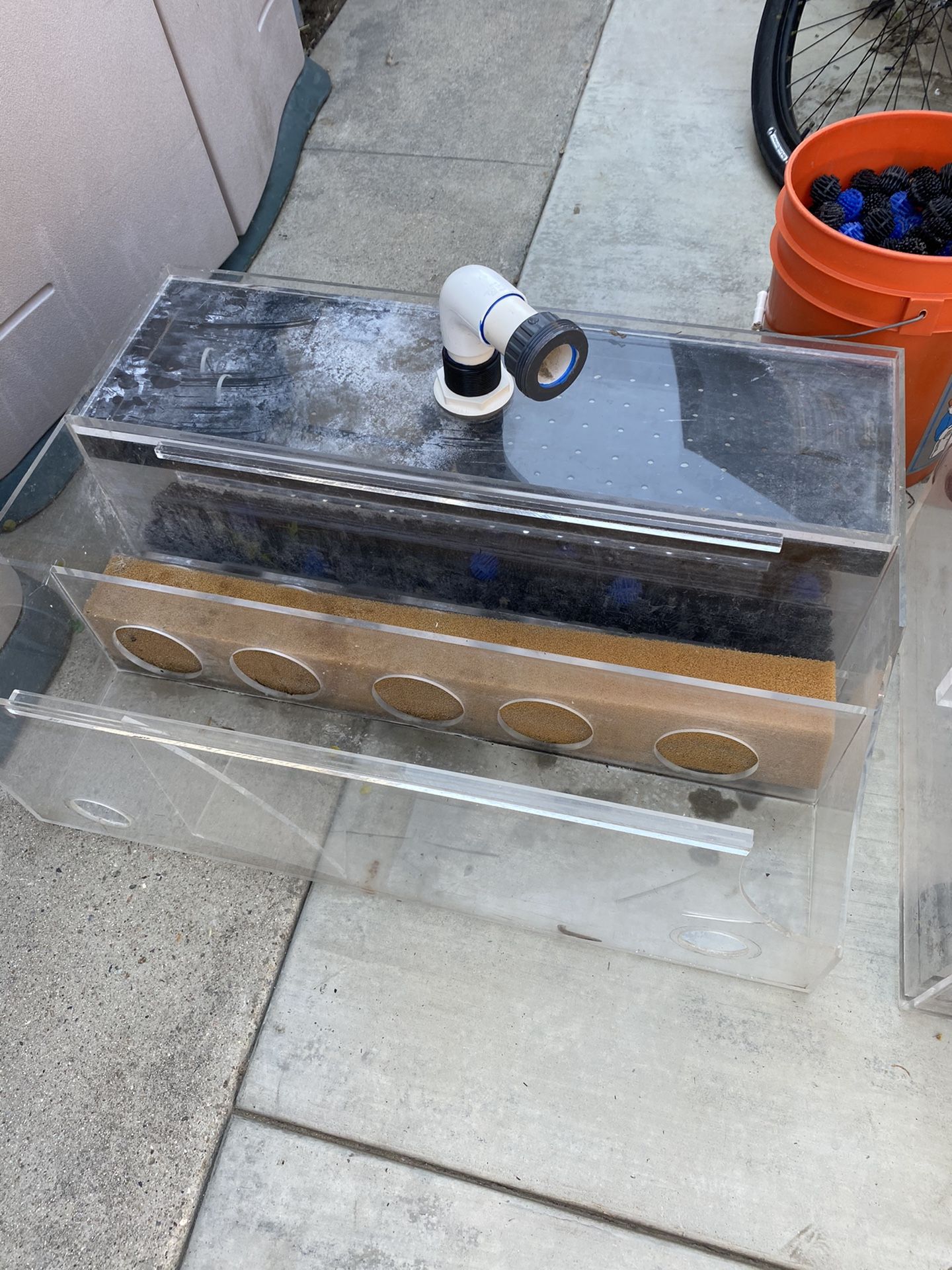 Large fish aquarium sump sumps from a professional setup thick acrylic filter