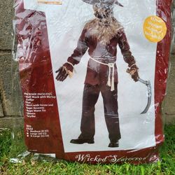 Scarecrow Childs Costume