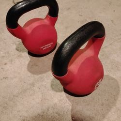 25lb 2x Kettlebell
