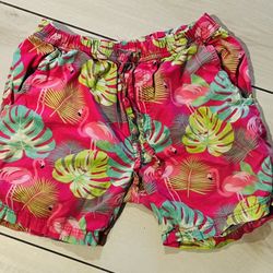Super Massive Pink Flamingo Tropical Mens Swim Trunks Shorts Size M