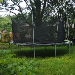Trampoline 
