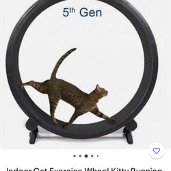 Indoor Cat Exercise Wheel Kitty Running Training Toy Treadweel Treadmill  Pet