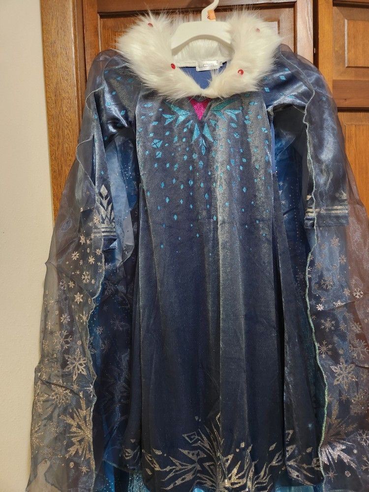 Elsa Costume Age 5 To 6