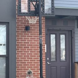 Basketball Hoop
