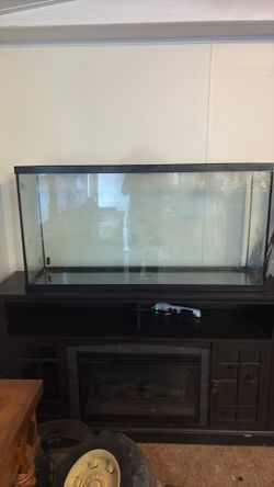 Aquarium