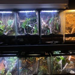 Exo Terra Enclosures