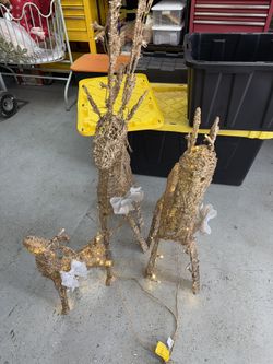 3 Reindeers Very Pretty. Work Great 