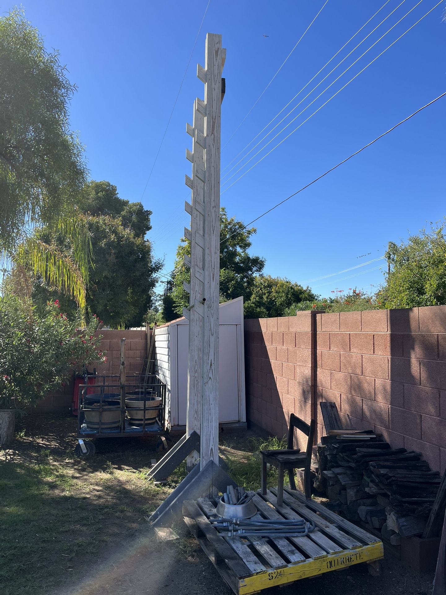 Salmon Ladder (Workout Equipment)