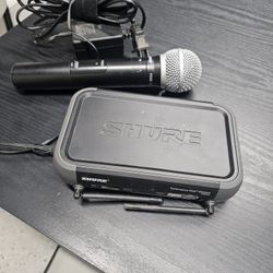 Pgx4 With Microphone 