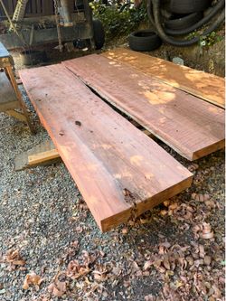 Old growth red wood slabs