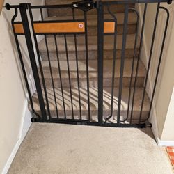 Baby Gate With Door