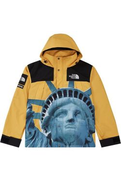 Supreme The North Face Statue of Liberty Mountain Jacket