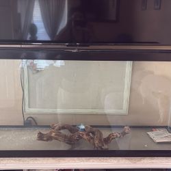 55 Gallon Fish Tank 