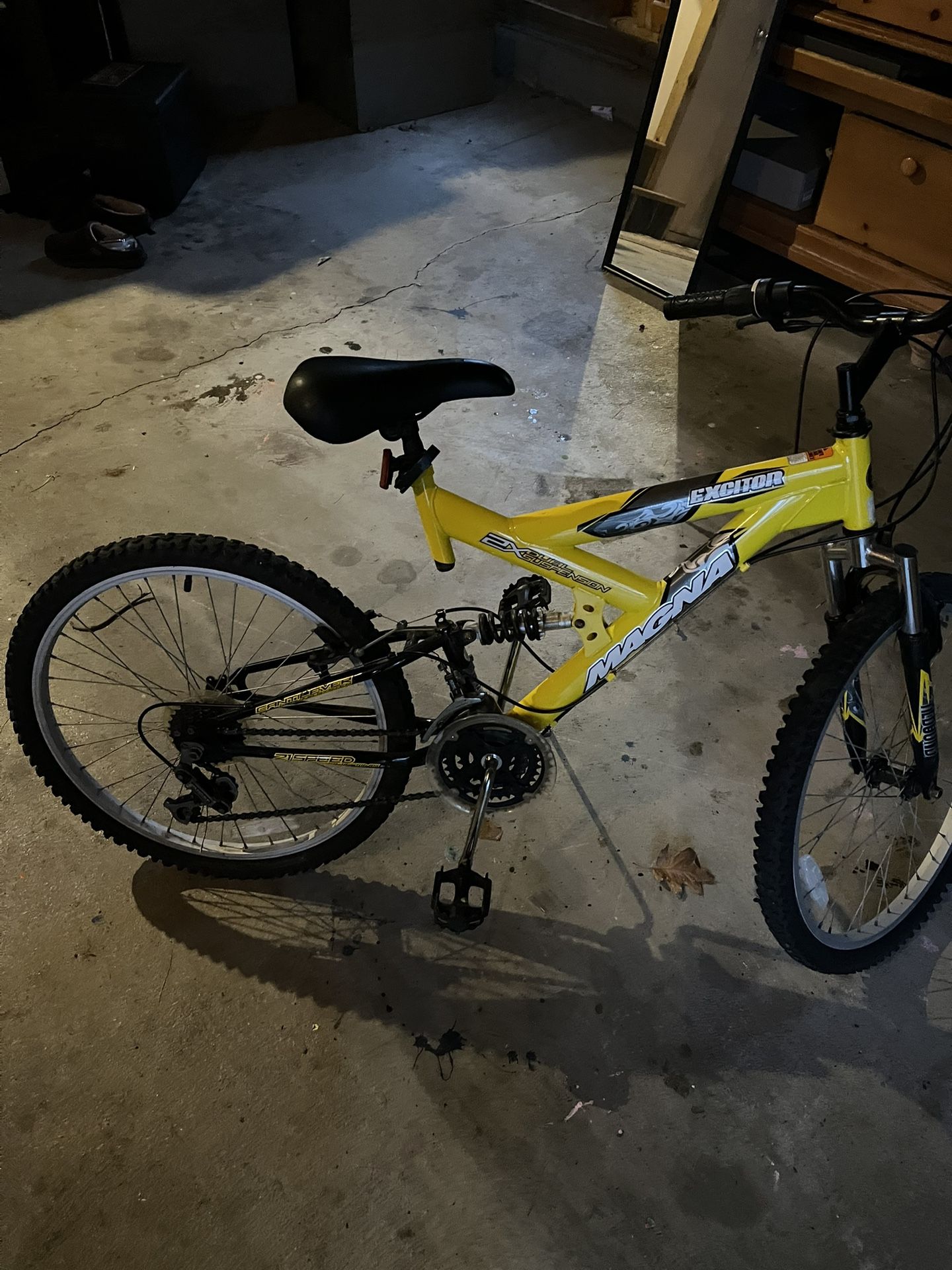 Adult Bike