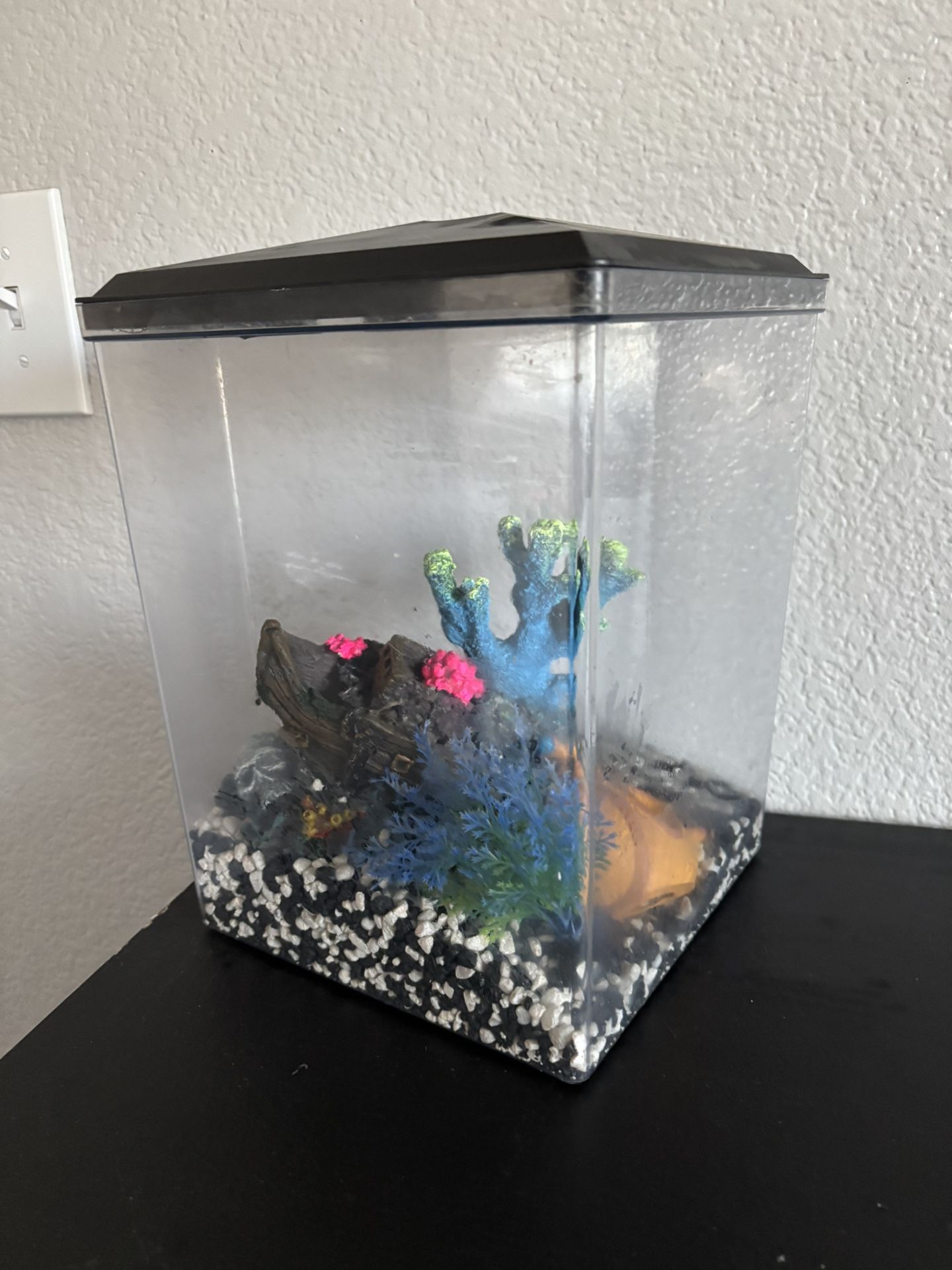 Small Fish Tank