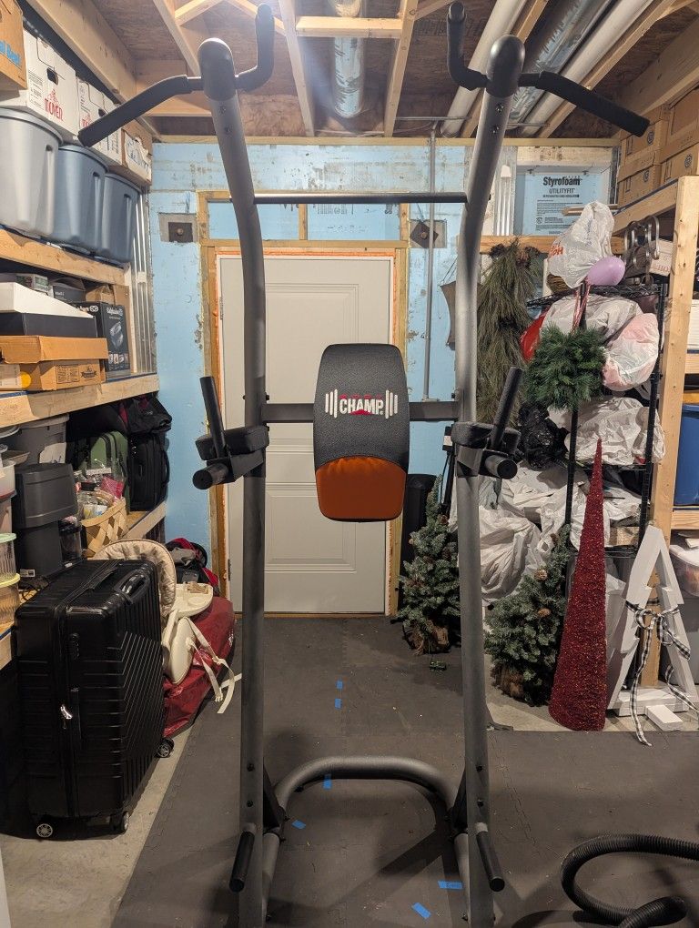 Pull-up and Dip Bar
