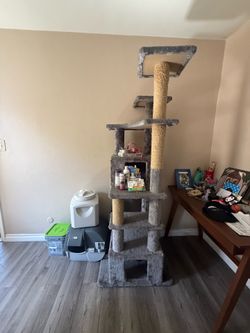 Cat Tree/ Supplies