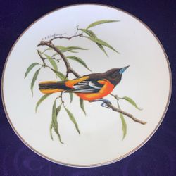 Baltimore Oriole Songbird Plate