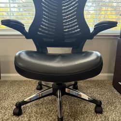 Ergonomic Office Chair - worth 220$