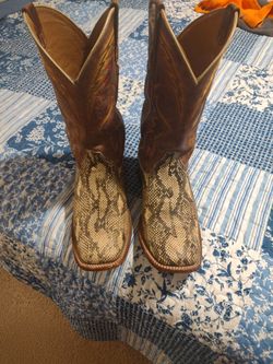 Cody James snakeskin boot 10ee