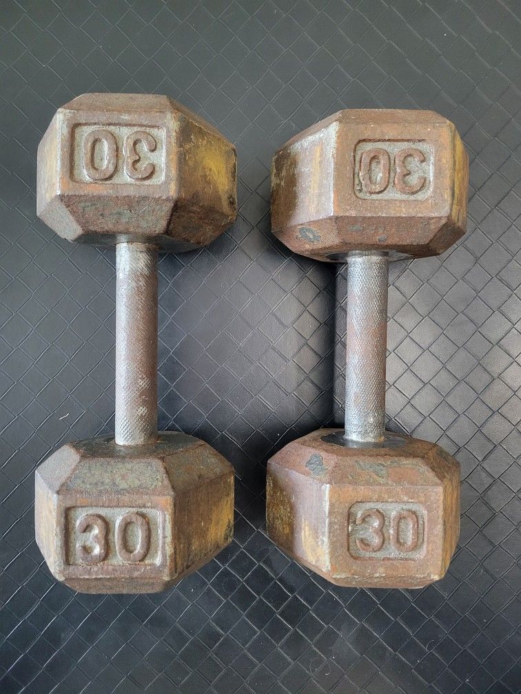 Dumbbells (30lbs Pair)