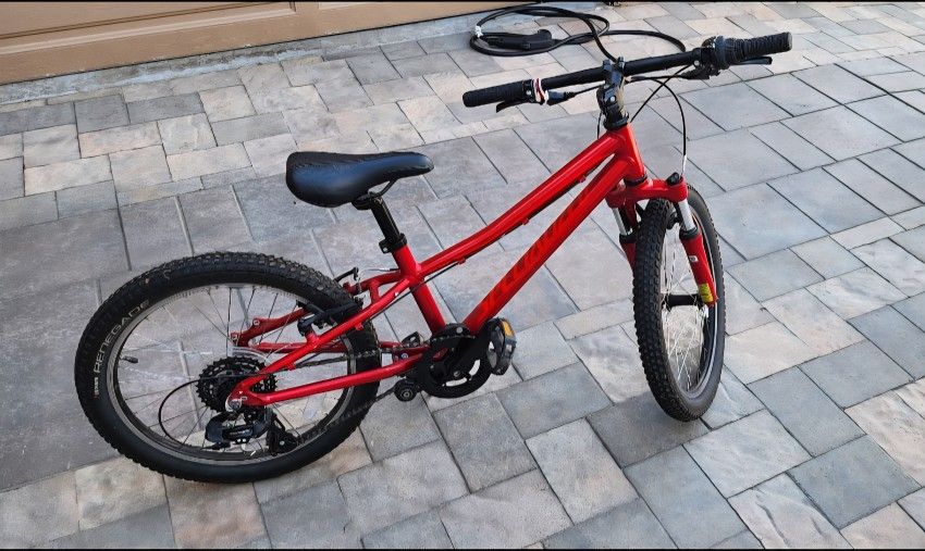 20 Inch 8 Speed Bike