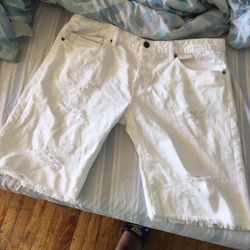 Cult Shorts Size 40